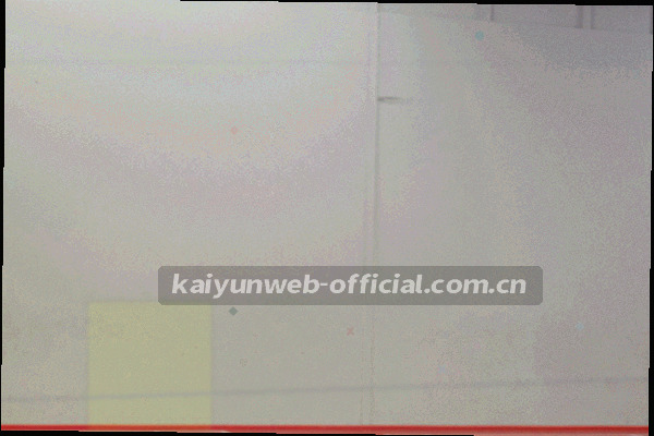 电脑屏幕上的API接口文档与代码示例